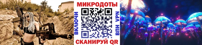 Псилоцибиновые грибы Cubensis  Звенигород 