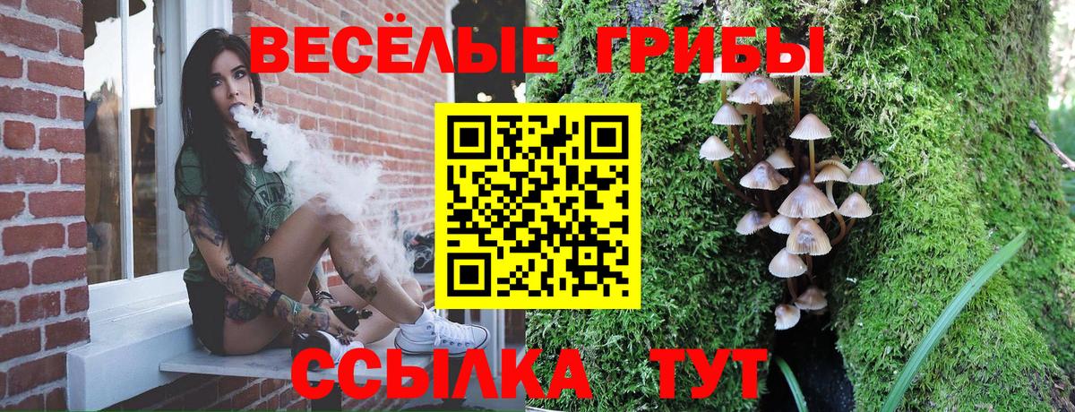 Галлюциногенные грибы Cubensis Звенигород