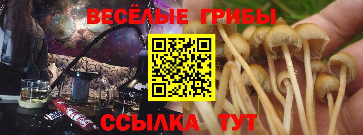 Псилоцибиновые грибы мухоморы  Вход с VPN  Галлюциногенные грибы Cubensis  Звенигород 